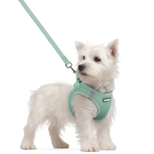 Dog Harness Small Sized and Leash Set (Moss Green / S (chest: 15.1 - 16.5"))
