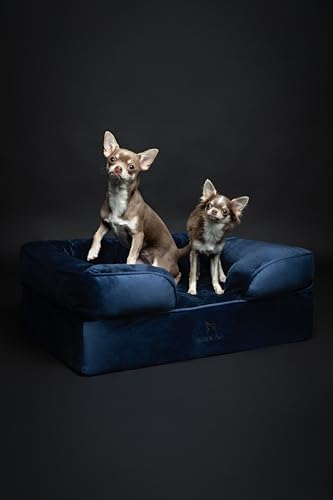 Dog Bed 28x23x11 Inch (Velvet - Navy Blue / Medium)