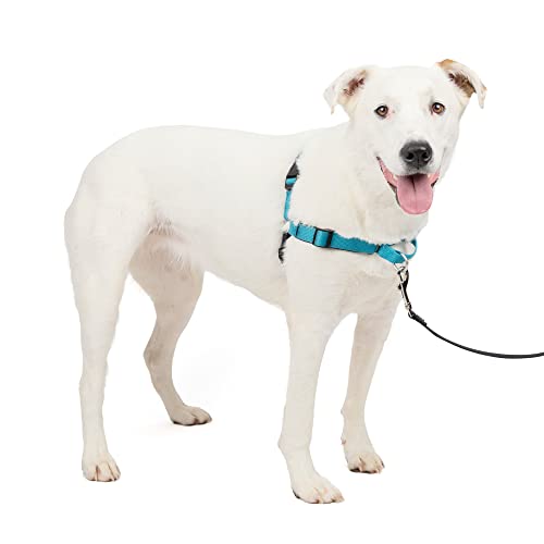 Easy Walk Deluxe Dog Harness (Medium/Large / Ocean)