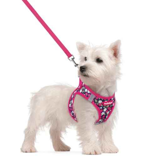 Dog Harness Small Sized and Leash Set (Pink Berry / S (chest: 15.1 - 16.5"))