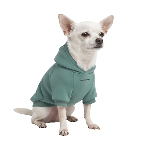 Dog Hoodie Buttery (Teal / Small)
