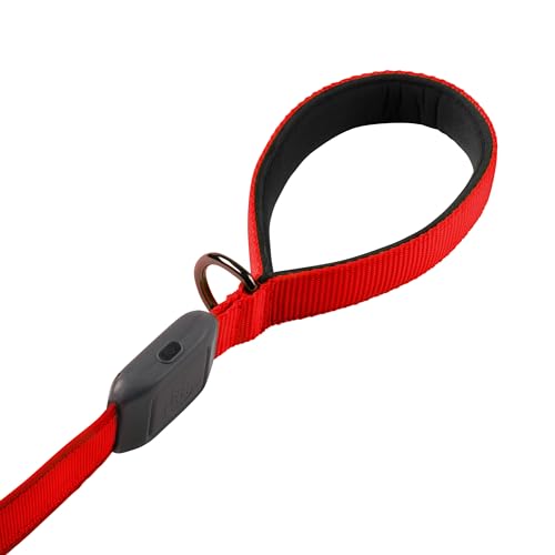 NiteDog Rechargeable LED Leash