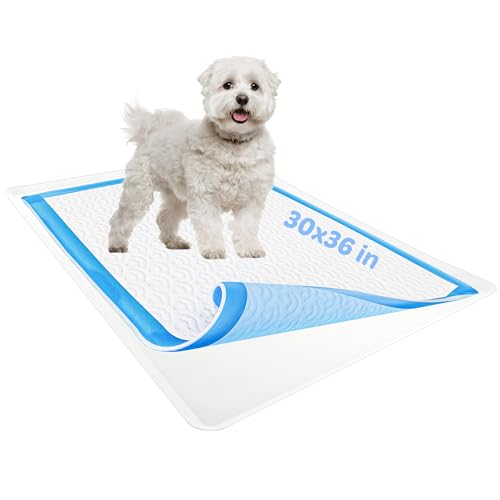 Dog Pee Pad Holder (1 Pack / White)