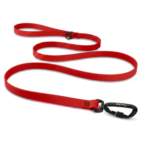 Essential Biothane Dog Leash (Ruby Red / 3/4 In x 3 Feet)