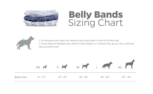 Washable Belly Bands for Male Dogs (Medium (16-20") / Kahuna)