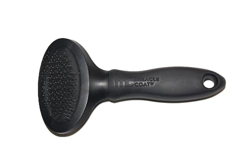 Small Slicker Brush for Cats (Small / Slicker Brush for Cats)