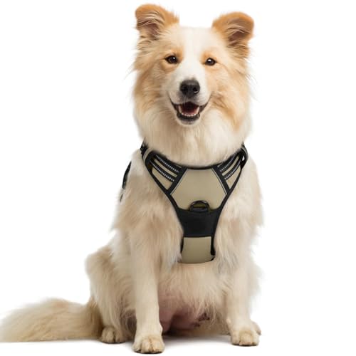Dog Harness No Pull Medium Sized with 2 Leash Clips (Medium / Beige)