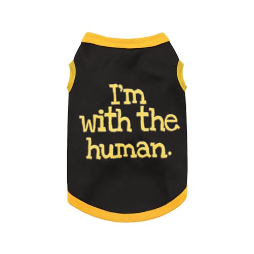 Elevate Your Pet's Seasonal Style with Playful Panache (S-(2~6lb) | Chest(~13.5") / with the human)