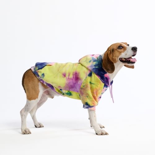 Dog Hoodie Buttery (Berry Lemonade / XX-Large)