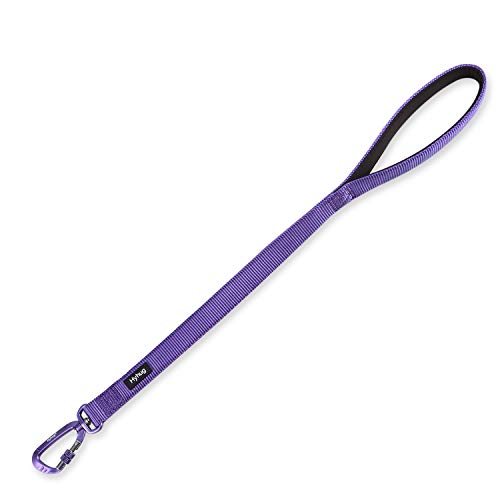 Short Dog Leash 24" (Ultra Violet / 24 Inches)