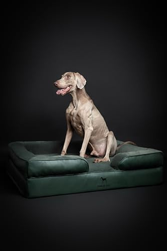 XL Dog Bed 45x35x11 Inch (Vegan Leather - Green / X-Large)