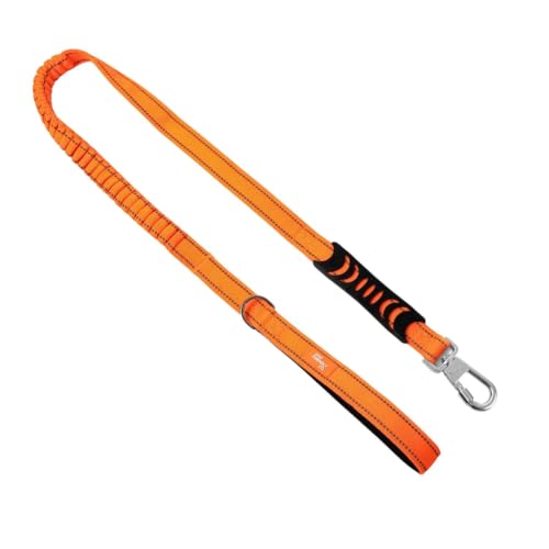 Bungee Dog Leash (Orange / Regular)