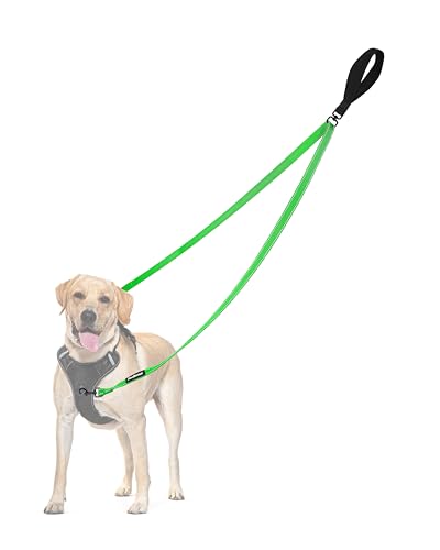Two Point Control Dog Leash (Grass Green)