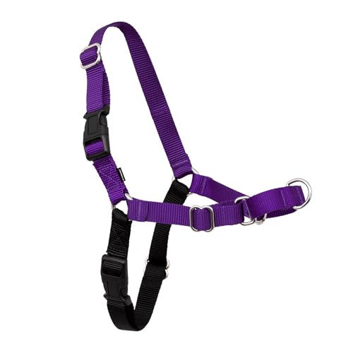 Easy Walk Harness (Medium / Deep Purple/Black)