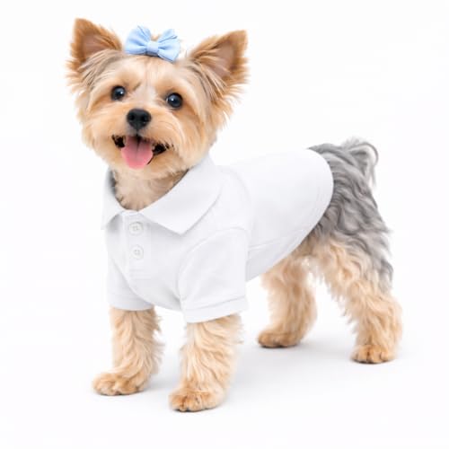 Basic Dog Polo Shirts Premium Cotton (S (-9lbs) / White)