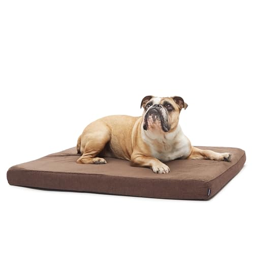 Orthopedic Dog Bed (Espresso / Medium)