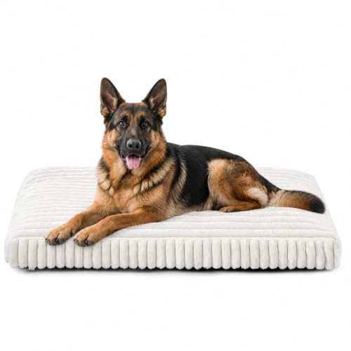 XL Dog Bed Flat Pet Beds with Removable Washable Cover (Cream / XL(42"x27"x4"))