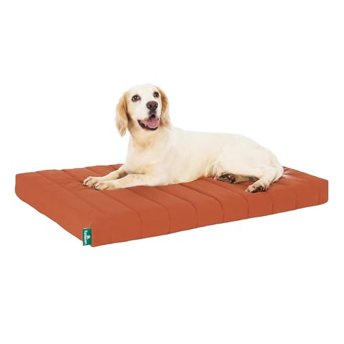 Orthopedic Dog Bed (Large / Rust)