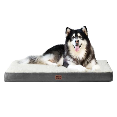 Orthopedic Dog Bed Large with Removable Washable Cover (50*36*4 inches / Beige)