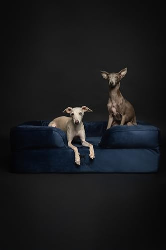 Large Dog Bed (Velvet - Navy Blue / Large)