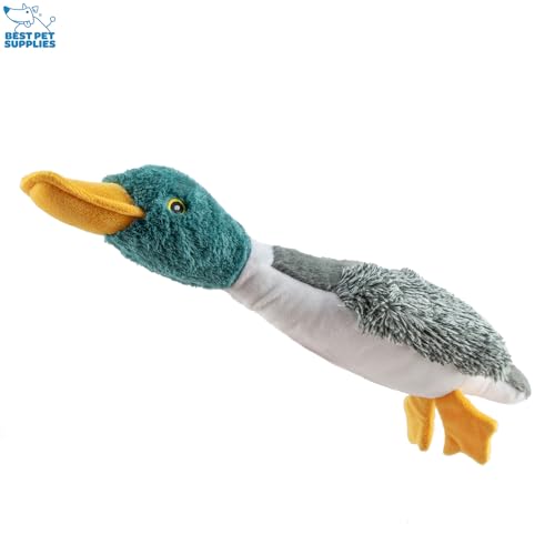 Interactive Squeaky Dog Chew Toy (Duck (Mystery Box) / Large)
