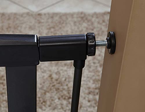 Midwest Homes 39 (Graphite / 39-Inch)