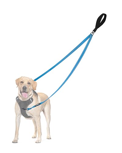 Two Point Control Dog Leash (Light Blue)