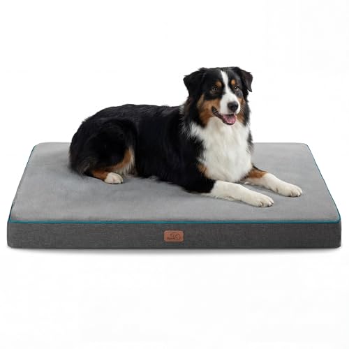 Memory Foam XL Dog Bed (41"L x 29"W x 3.5"Th / Grey)