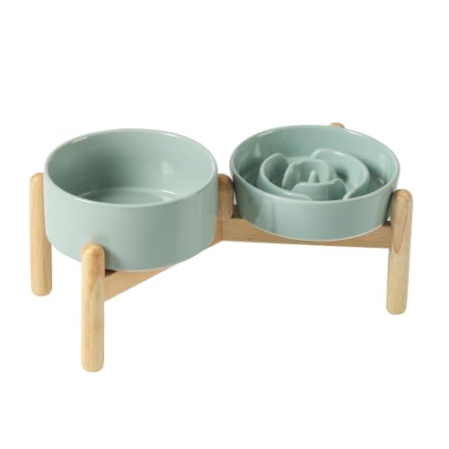 Elevated Slow Feeder Dog Bowls (Light Green)