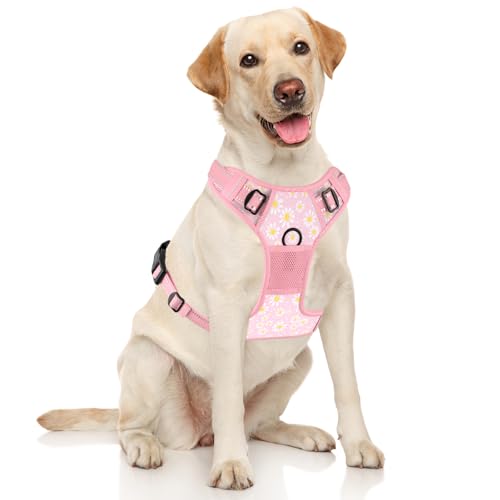 No Pull Dog Harness (Pink Floral / Medium)