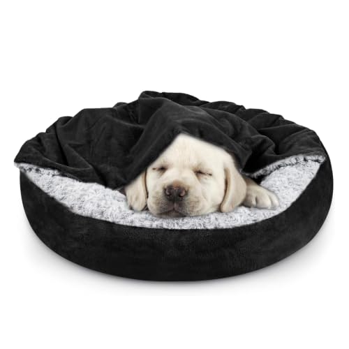 Small Dog Bed Cat Bed with Hooded Blanket (S(23" x 23" x 7") / Black)