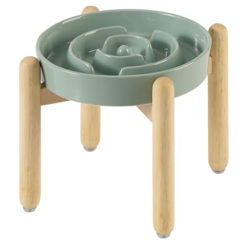 Elevated Slow Feeder Dog Bowls (Light Green)