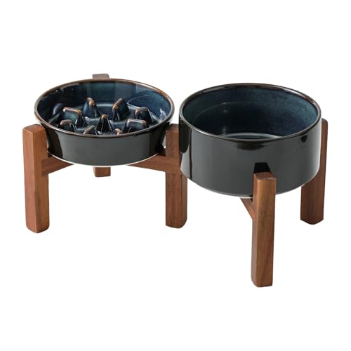 Raised Slow Feeder Dog Bowls (2 x Starry Sky + Stand - C / S- 6.1inch / 0.9 Cups)