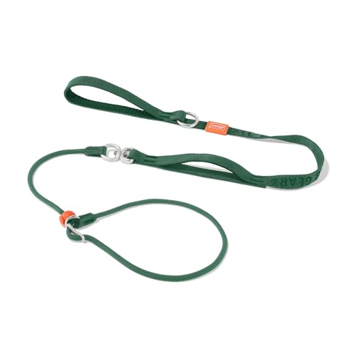 Slip Lead Dog Leash (Green / 5.5FT)