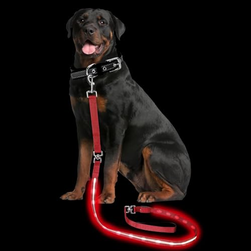 Light up Dog Leash for Night Walking (6 FT / Red)