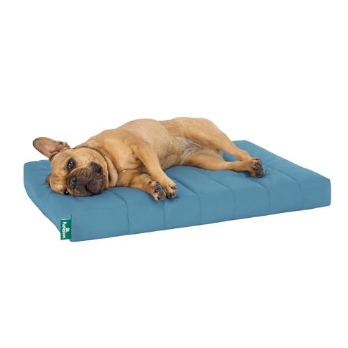 Orthopedic Dog Bed (Medium / Lagoon)