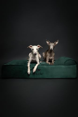 Large Dog Bed (Velvet - Dark Green / Large)