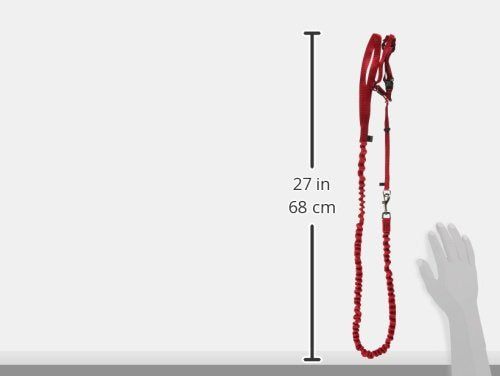 Come With Me Kitty Harness and Bungee Leash (Medium (Pack of 1) / Red)