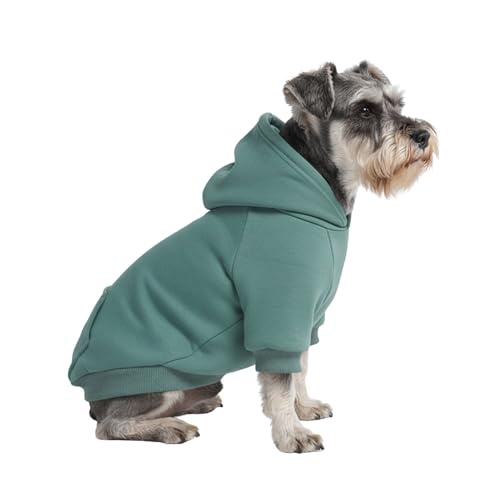 Dog Hoodie Buttery (Teal / Medium)