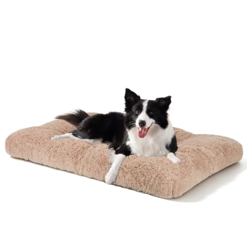 Large Dog Bed Crate Pad (35.0"L x 23.0"W x 3.5"Th / Beige)