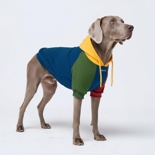 Dog Hoodie Buttery (Primary Color Block / 3XL)