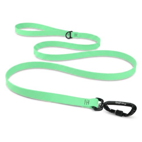 Essential Biothane Dog Leash (Mint Green / 3/4 In x 3 Feet)