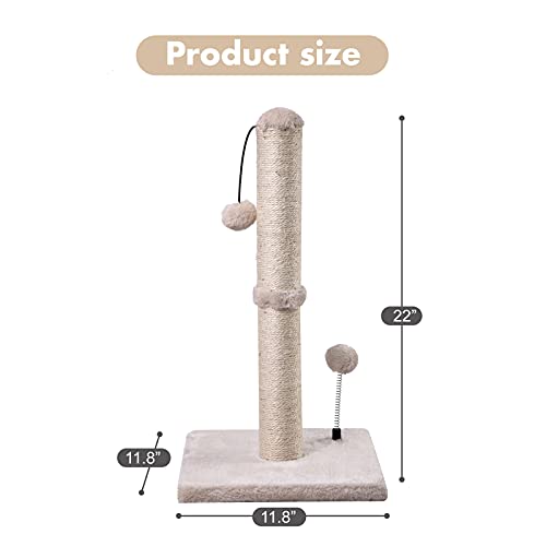 Cat Scratching Post Premium Basics Kitten Scratcher Sisal Scratch Posts with Hanging Ball 22in for Kittens or Smaller Cats (22 inches for kitten / Beige)