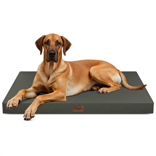 Jumbo Waterproof Orthopedic Dog Bed for Extra Large Dogs (Brown / 53.0"L x 36.0"W x 4.0"Th)