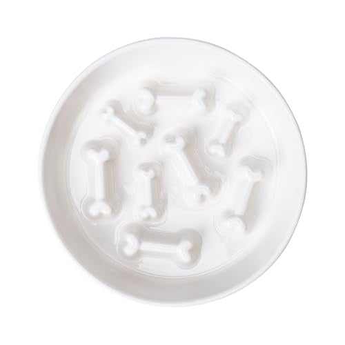 Ceramic Slow Feeder Dog Bowls (White Bone)