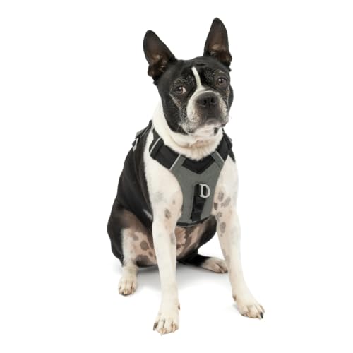 Journey Air Dog Harness (Small / Black)