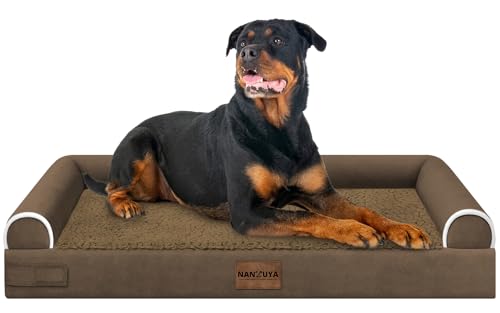 Orthopedic Dog Bed for XX (Coffee / 44.0"L x 34.0"W x 6.5"Th)