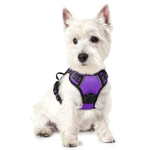 Dog Harness No Pull with 2 Leash Clips (X-Small / Purple)