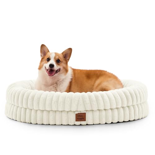 Orthopedic Dog Bed (Cream / L(35*28*7))