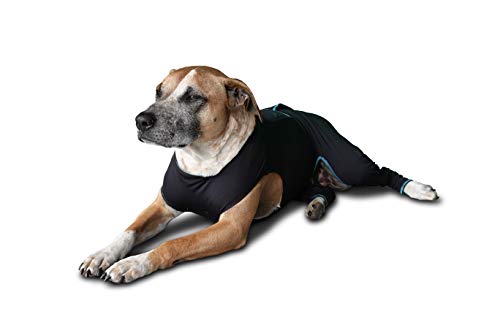 Therapeutic Comfort Suit for Dogs (Large)